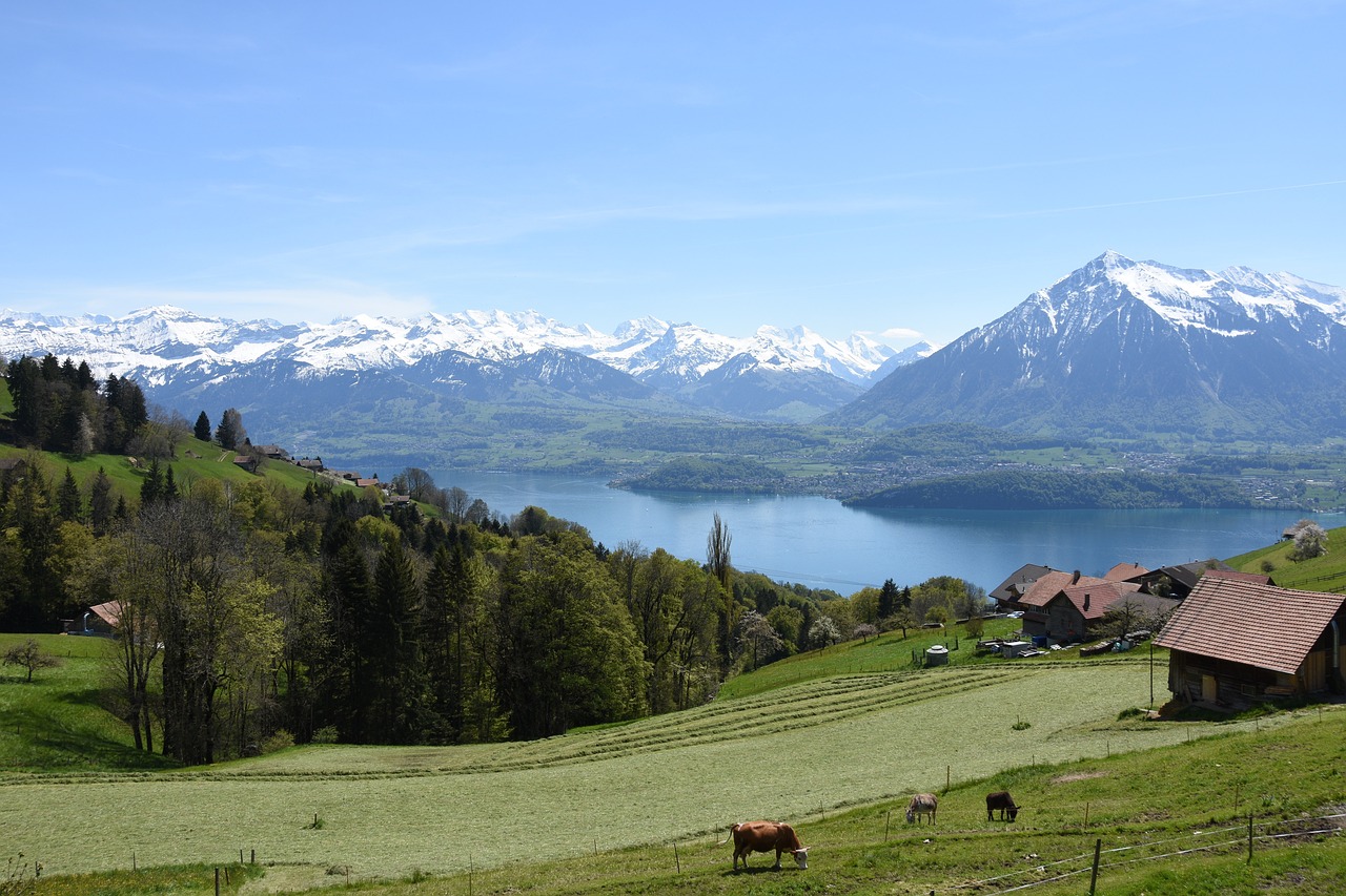 Spartipp #2: Die Schönheit der Schweizer Berge erleben: Hautnah und völlig kostenlos! 